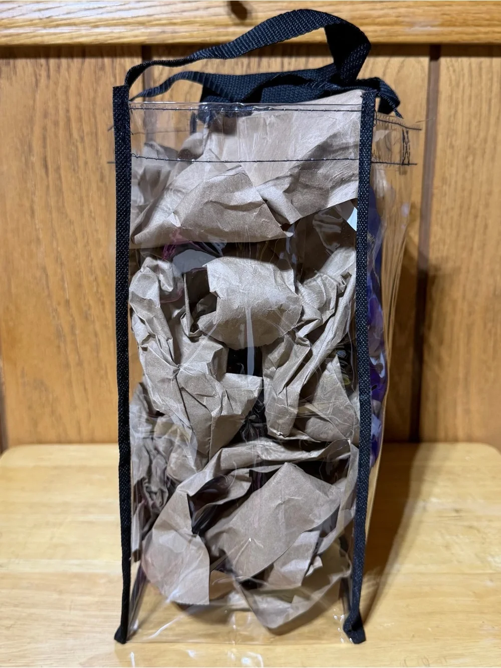 Chicago White Sox Clear Tote Bag MLB Logo BMO Bank Promo Transparent Unisex 12”